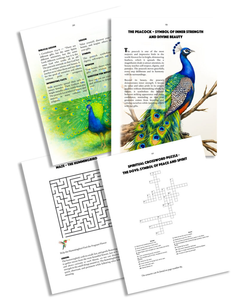 3 birds en web