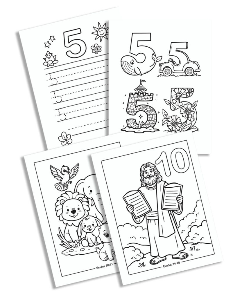 3 numbers en web