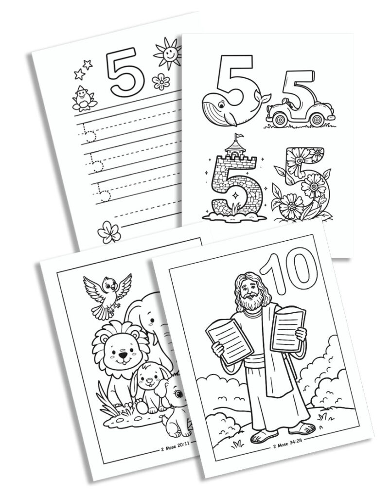 3 numbers de web